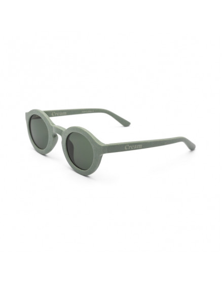 Sage Sunglasses 4-8 3