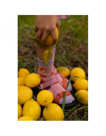 Socks Lemons 2