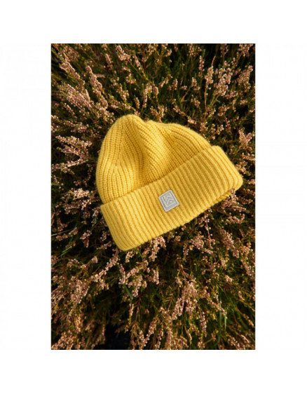 Emilio Lemon Hat 2