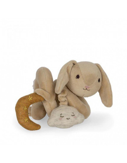 Розвиваюча іграшка Спіраль Bunny