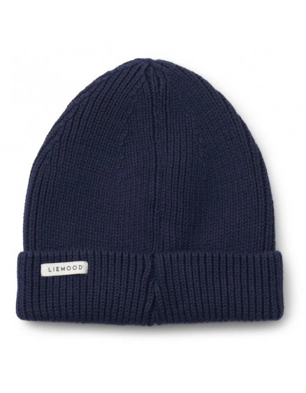 Ezra Navy Hat