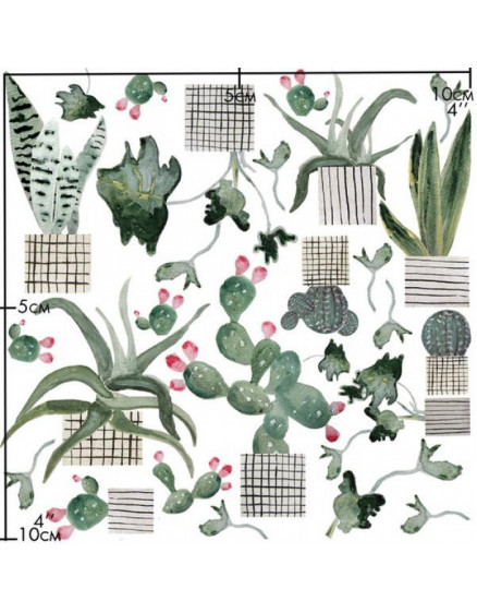 Наклейки на порцеляну Cactus 2