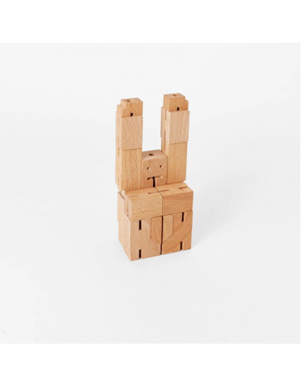 Конструктор Cubebot Micro 5