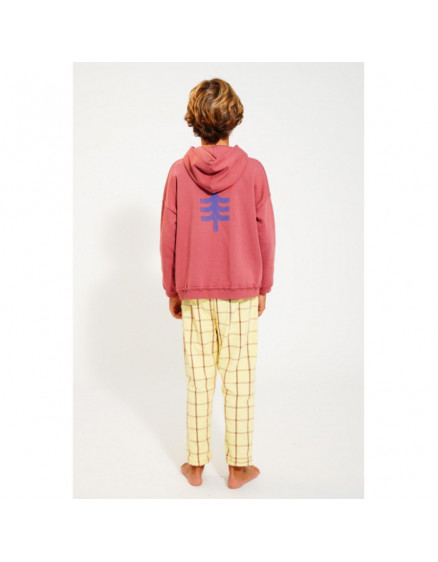 Hooded Sweatshirt Aubergine 3