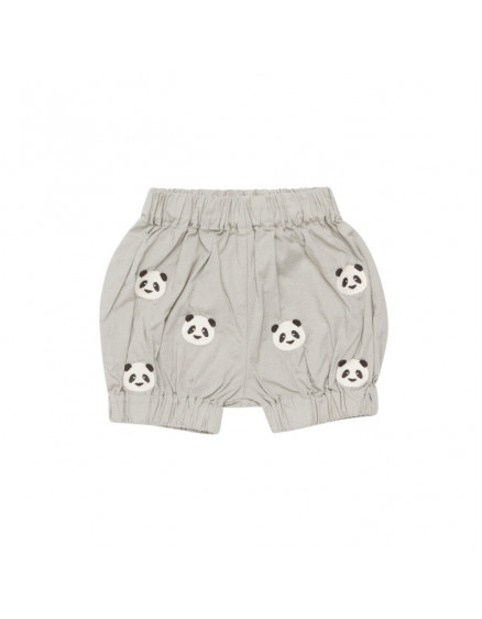 Carson Bloomer Pandas