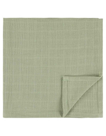 3 х Набір Пелюшок Darling Dino 55x55 3