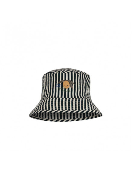 Seer Asnou Hat
