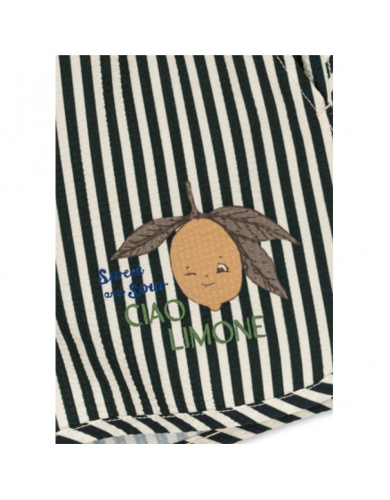 Плавки Seer Asnou 2