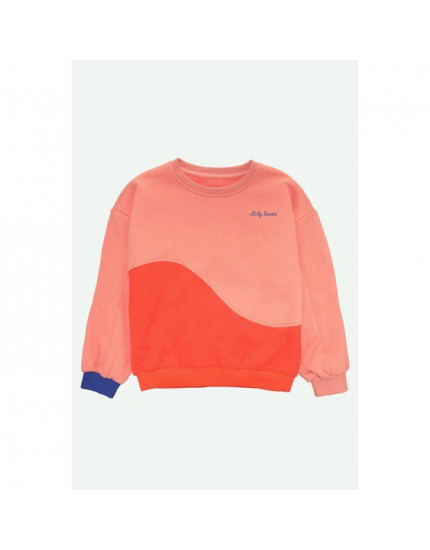 Sweater  Coral Pink + Red Hat