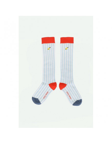 Socks Stripes Zissou Blue 4