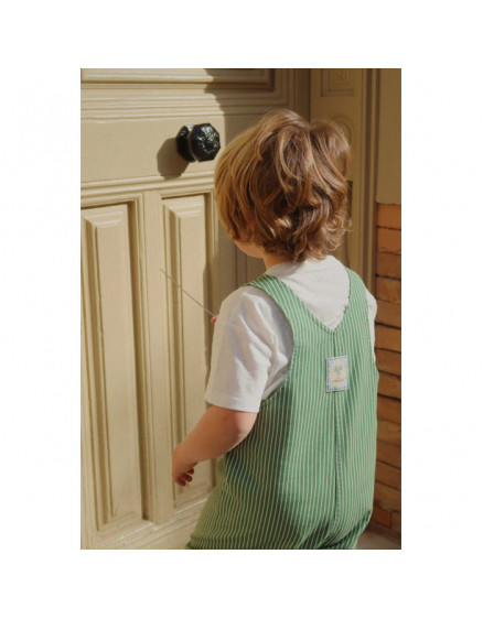 Комбінезон RHW Jack Stripe Eden 6