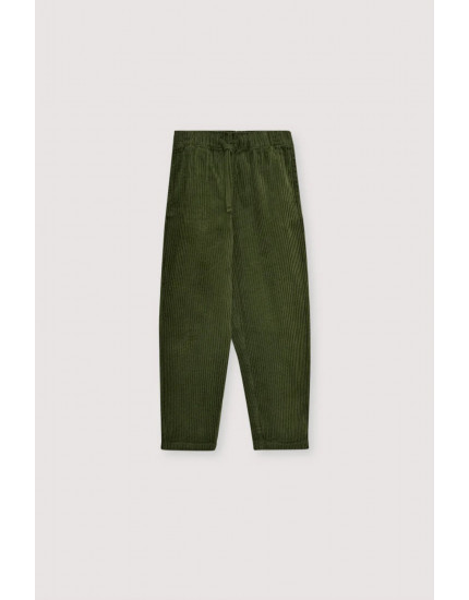 Nicol Pant Hidden Forest 