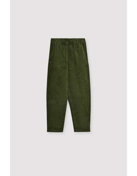 Nicol Pant Hidden Forest 
