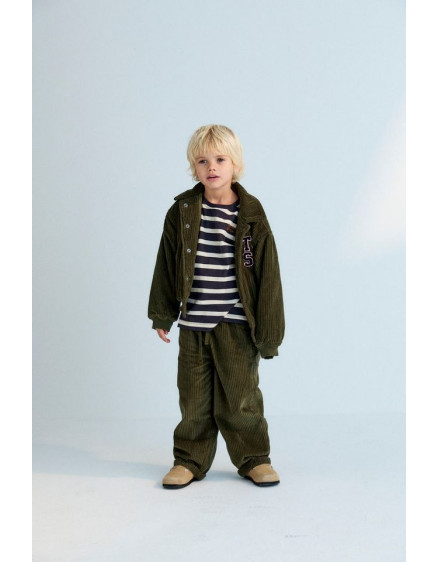 Nicol Pant Hidden Forest  2