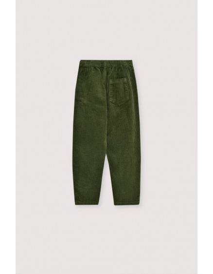 Nicol Pant Hidden Forest  3