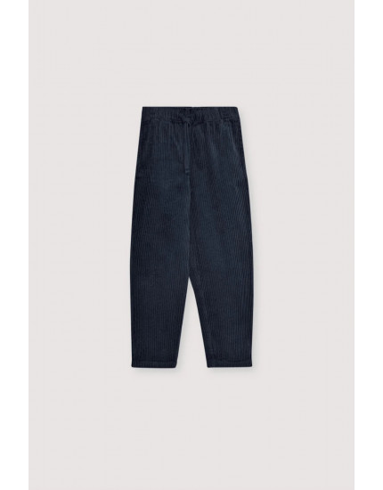 Nicol Pant Infinite Navy