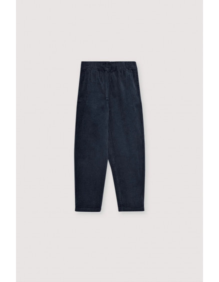 Nicol Pant Infinite Navy