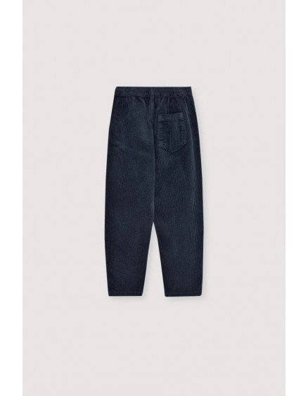 Nicol Pant Infinite Navy 3