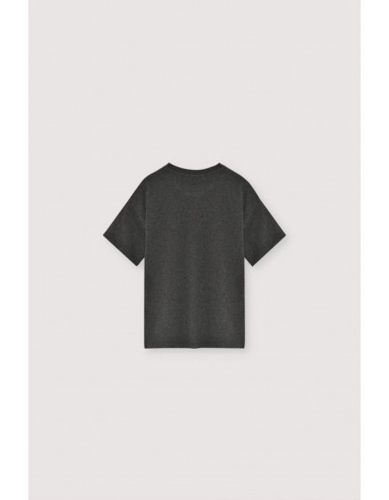 Nico T-shirt Galactic Grey Melange 2