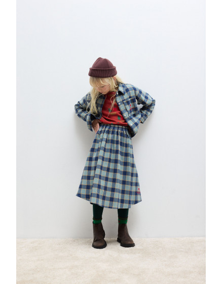 Checkered Blue Skirt Indigo 4