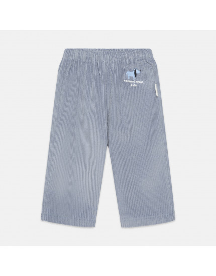 Штани Blue Dog Corduroy