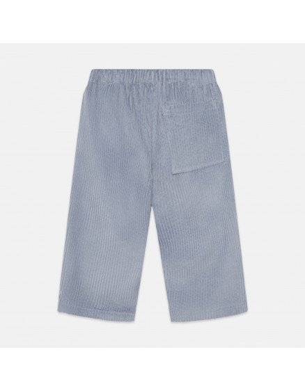 Штани Blue Dog Corduroy 2