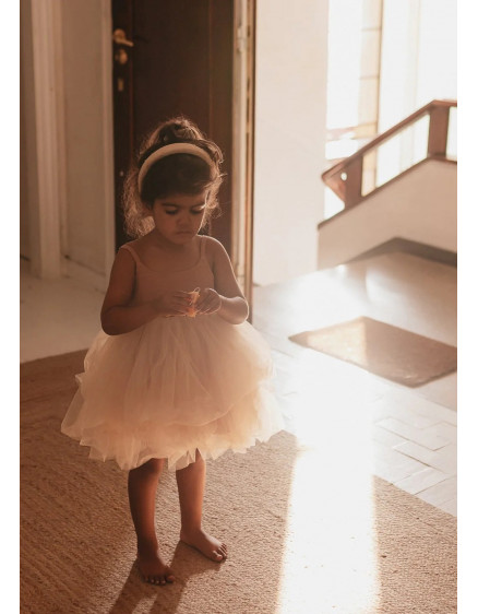 Сукня Rosie Nude 5