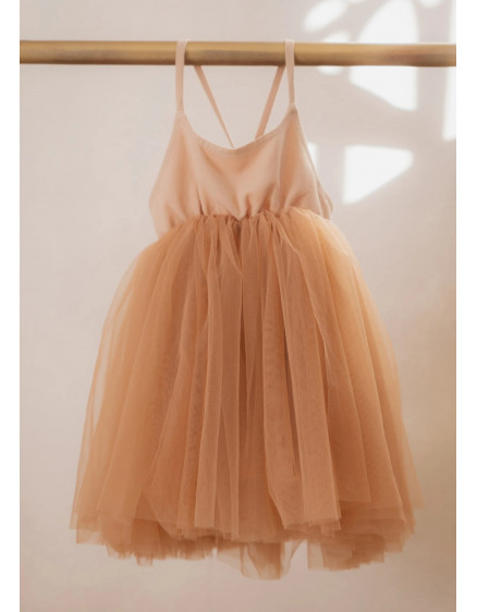 Rosie Rusted Dress 4