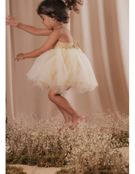 Rosie Sunshine Dress 3