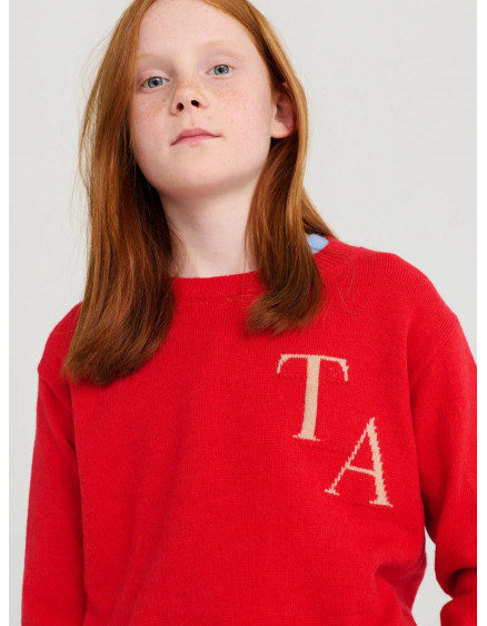 Jumper nº03 Autumn Fig Red 3