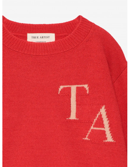 Jumper nº03 Autumn Fig Red 5