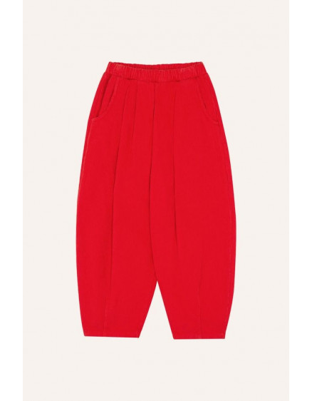 Штани Red Corduroy