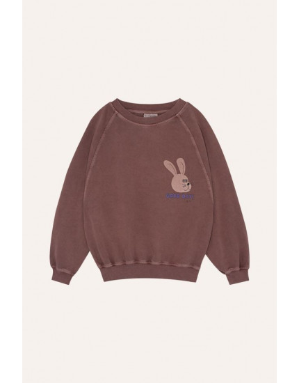 Rabbit Brown Sweatshirt 