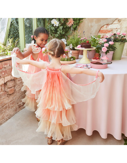 Fairy Costume Age 3-4 5