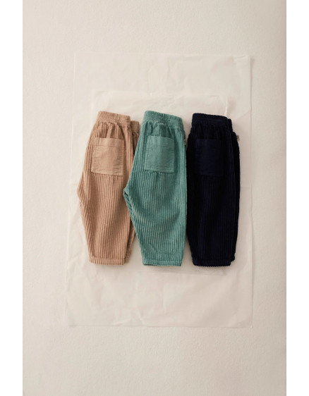 Штани Сorduroy Stone Miki 2