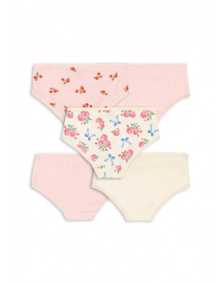 Basic 5 Pack Girl Underpants Mix Pack 4