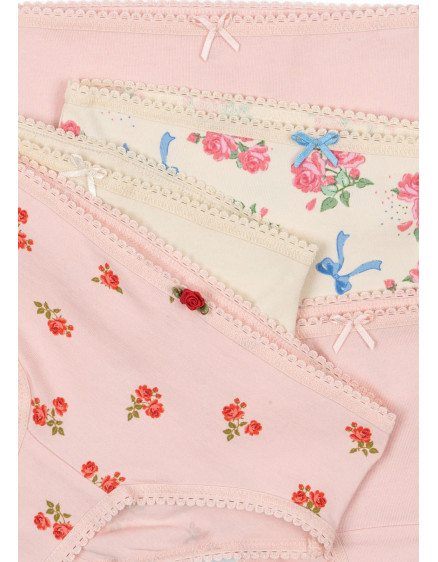 Basic 5 Pack Girl Underpants Mix Pack 3