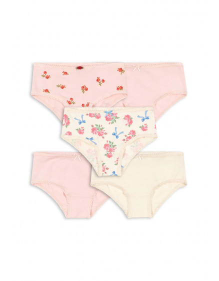 Basic 5 Pack Girl Underpants Mix Pack