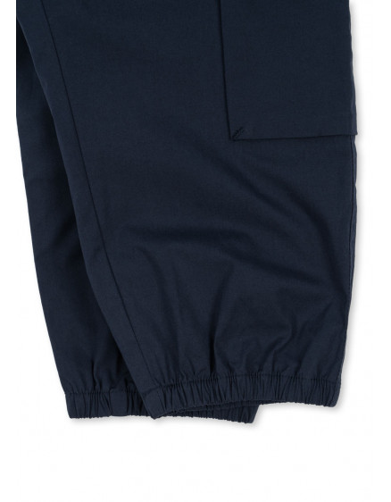 Peppe Pants Navy Blazer 2