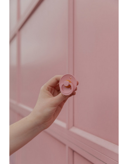 Пустушка Pacifier Colour Blossom 2