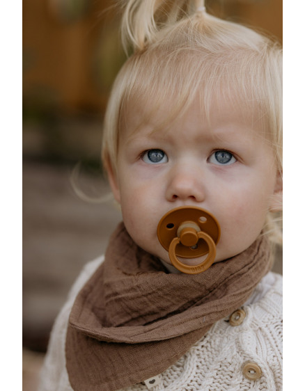 Пустушка Colour Rust 2