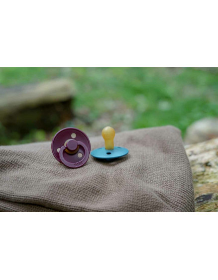 Пустушка Pacifier Colour Elderberry  2