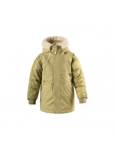 Funny Frog Gray Green