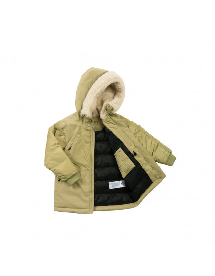 Funny Frog Gray Green 8