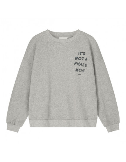 Sweater Phase Grey Melange