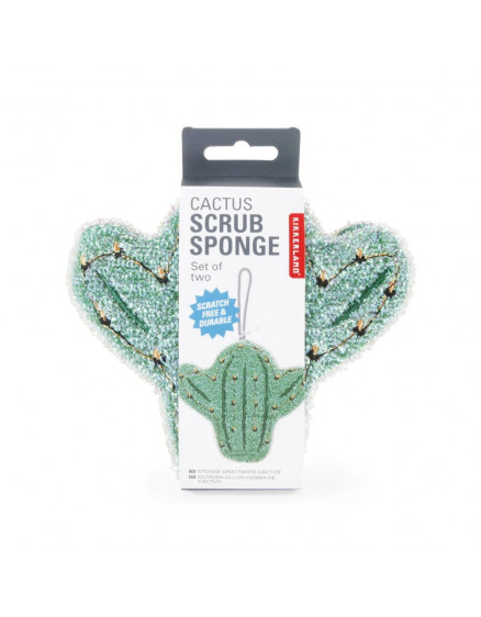 Cactus Scrub Sponge 2