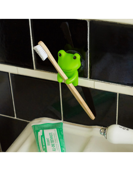 Frog Toothbrush Holder 2