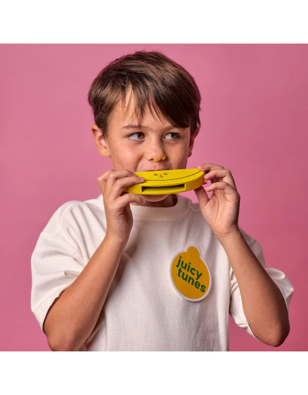 Kidoki Wooden Fruit Harmonica  2