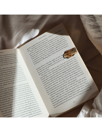 Магнітні закладки Cat Paw 3