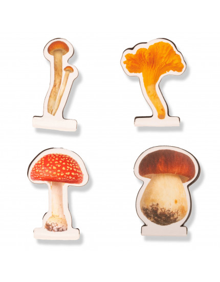Магнітні закладки Mushroom